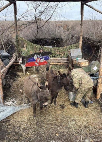 (Source: Russian Telegram Channel)