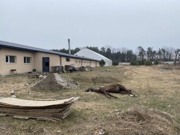 The scene Bohdan photographed when he arrived at his stables after the Russian Armed Forces retreated in 2022. (Photo: Private source) The scene Bohdan photographed when he arrived at his stables after the Russian Armed Forces retreated in 2022. (Photo: Private source)