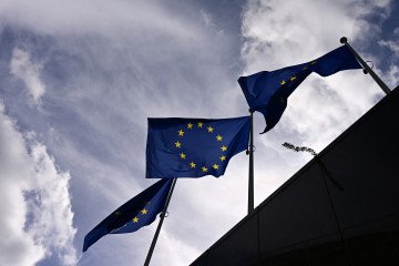 EU Considers Limits on Market Access and Funding for Sensitive Ukrainian Agricultural Products The European flag. (Source: Getty Images)