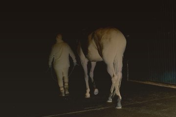 Can Horses Really Heal War Trauma? The Bucha Stable Giving Ukraine’s Veterans New Strength