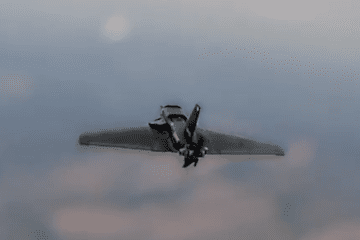 Russian Gerbera-2 drone. Illustrative photo. (Source: Wild Hornets) Russian Gerbera-2 drone. Illustrative photo. (Source: Wild Hornets)