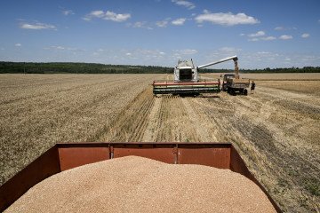 A combine harvester collects winter wheat as trucks are parked nearby in the field in Zaporizhzhia district, Zaporizhzhia region, Ukraine, July 18, 2026. (Source: Getty Images) A combine harvester collects winter wheat as trucks are parked nearby in the field in Zaporizhzhia district, Zaporizhzhia region, Ukraine, July 18, 2026. (Source: Getty Images)