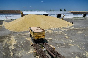 Harvested wheat grain is pictured on the premises of "ALEKSANDR-AGRO" LLC, Lukasheve village, Zaporizhzhia region on July 5, 2020. (Source: Getty Images)