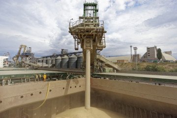 Wheat grain for export falls into the hold of a cargo ship at Nikolaev port in Nikolaev, Ukraine, on August 31, 2016. Illustrative photo. (Source: Getty Images)
