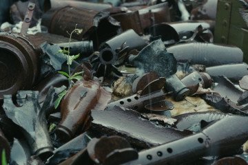 Sill from the “Divia” film. (Source: Suspilne Culture)