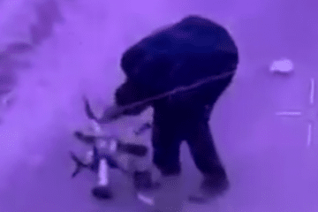 ucrania ucrania news ucrania noticias noticias con imágenes rusia drones fp rusos