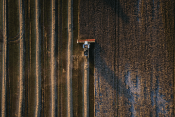 Farmers harvest wheat amid Russia’s war
