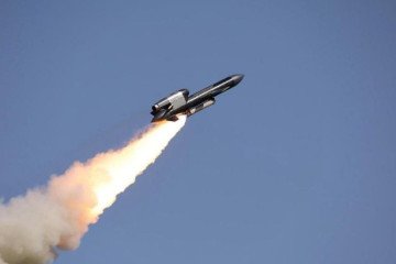 Ukraine’s Flamingo Missile Could Be Produced in Germany as Diehl Defense Opens Talks Flamingo missile. (Source: Fire Point)