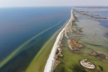 Aerial view of the Kinburn Spit between the Black Sea and the Dnipro-Buh estuary in southern Ukraine. (Photo: Open source)