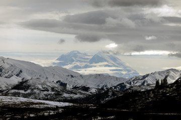 noticias con imágenes rusia rusia news rusia noticias estados unidos vladimir putin volodymr zelenskyy alto el fuego