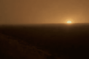 Promsintez Promsintez