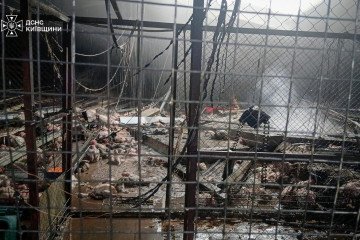 Firefighters respond to a blaze at a poultry farm in Ukraine’s Kyiv region following a Russian attack. (Source: SES)
