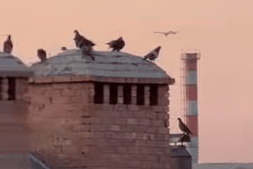 Ukraine Launches Drone Strike on Azov Optical Plant in Russia’s Rostov