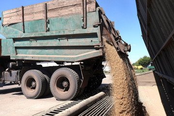 A truck dumps harvested grain into a temporary storage facility at Gagarin Agricultural Firm LLC in the Kharkiv region, Ukraine. (Source: Getty Images)