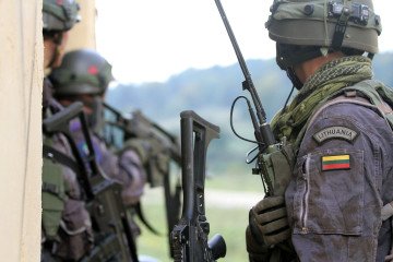 Lithuania Willing to Send Military Instructors to Ukraine