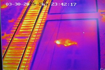 Ciudadano estadounidense detenido en la frontera bielorrusa en medio de la búsqueda de un soldado desaparecido