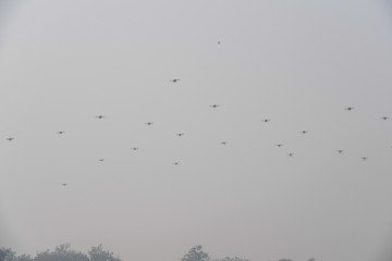 AI-Powered Drone Swarms to Revolutionize Warfare, Ukraine’s Digital Minister Reveals