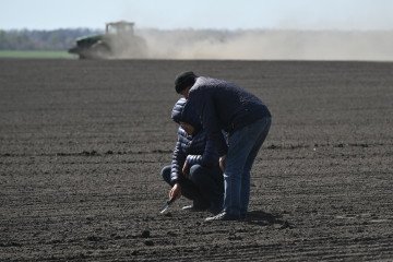 La UE restablece los contingentes arancelarios a las exportaciones agrícolas ucranianas en 2025