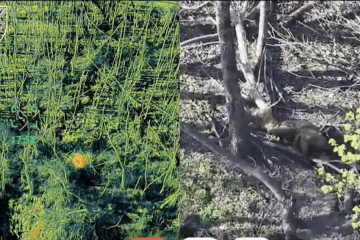 Russian assault troops seen in drone footage after emerging from an underground pipe near Ukrainian positions. (Source: 71st Separate Airmobile Brigade) Russian assault troops seen in drone footage after emerging from an underground pipe near Ukrainian positions. (Source: 71st Separate Airmobile Brigade)