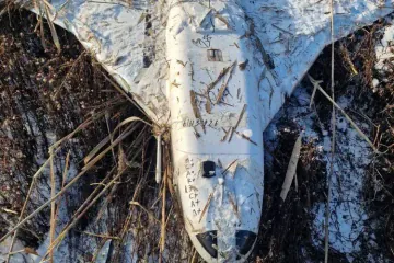 Russian Gerbera Drone Found on January 17 in Moldova’s Telenești District. (Photo: Telegram / Poliția Republicii Moldova)