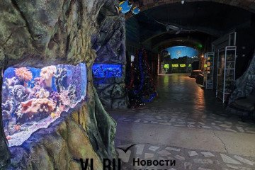 Russia's Vladivostok City Aquarium to Be Replaced by Military-Patriotic Exhibition Center Russia's Vladivostok City Aquarium to Be Replaced by Military-Patriotic Exhibition Center
