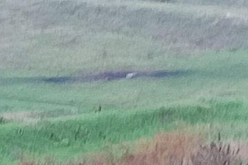 Russian Missile Fragments Reportedly Found in Moldova Following Strike on Ukraine Russian Missile Fragments Reportedly Found in Moldova Following Strike on Ukraine