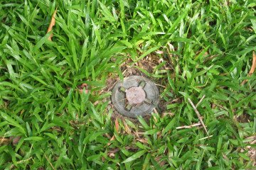 Poland’s Parliament Approves Exit from Convention on Anti-Personnel Mines Ban