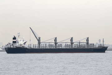 Panormitis vessel in Tokyo Bay on March 10, 2019. Illustrative photo. (Source: MarineTraffic)