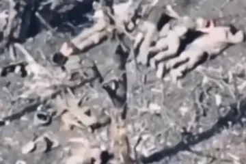 Drone footage shows the bodies of five Ukrainian soldiers lying face down in a wooded area near Donetsk, linked to their execution by Russian forces on November 19, 2025. (Source: Prosecutor General’s Office of Ukraine)