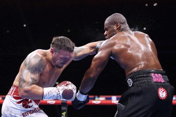 Usyk Defeats Dubois by Knockout, Becomes Undisputed Heavyweight Champion for Second Time