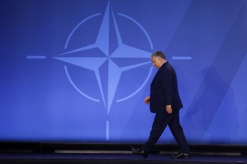 Zelenskyy Warns Disinformation from Orban Threatens U.S.-Ukraine Relations