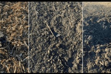 Drone debris and an impact site found in Moldova after five UAVs crossed the country’s airspace on October 3. (Photo: Open source) Drone debris and an impact site found in Moldova after five UAVs crossed the country’s airspace on October 3. (Photo: Open source)