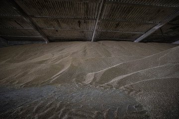 A general view of the grain warehouse in Odesa, Ukraine on July 31, 2022. (Source: Getty Images)