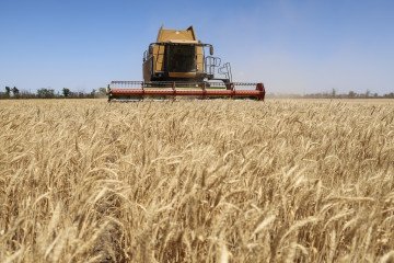 An employee of the farming enterprise, Vitalii, harvests wheat with a combine on one of the fields on July 24, 2025 in Kherson region, Ukraine. (Source: Getty Images)