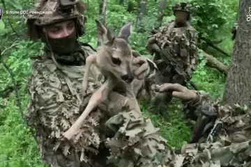 A Ukrainian Special Operations Forces soldier holds a rescued fawn during a combat mission, August 2026. (Source: 6th SOF Regiment Rangers)