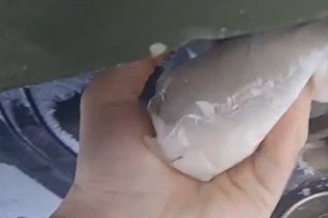 Atesh agent sabotaging Russian electronic warfare equipment, February 2026. (Source: Atesh)