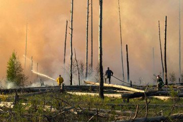 Firefighters work to extinguish active blazes in the Chornobyl exclusion zone after fallen Russian drones ignited multiple forest fires across the area. (Source: SAEZ)