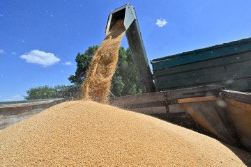 Ukraine Prepares to Reopen Food Supplies to Syria