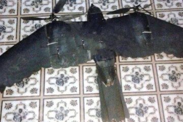 Rusia despliega drones espía similares a pájaros para evitar ser detectados Rusia despliega drones espía similares a pájaros para evitar ser detectados
