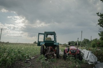 Ukraine Urges EU Sanctions on Bangladesh Over Alleged Imports of Russian-Stolen Grain