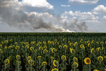 A Farm That Won’t Surrender: Life and Work on the Frontline in Kherson
