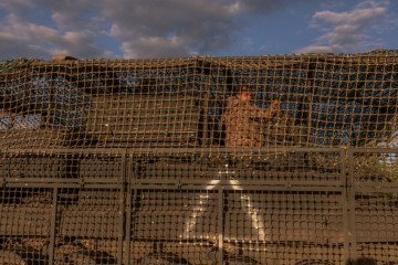 Russia Seeks Prisoner Exchange with Ukraine Amid Kursk Incursion