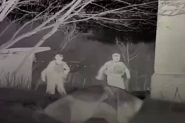 Animal rescue. (Source: UAnimals)