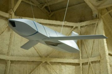 Trump May Approve JASSM Cruise Missiles for Ukraine to Boost F-16 Strike Power Trump May Approve JASSM Cruise Missiles for Ukraine to Boost F-16 Strike Power