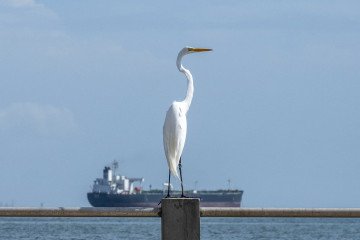 Crude oil tanker Blasa from Panama in the background on Lake Maracaibo in Maracaibo, Venezuela, on February 1, 2026. (Source: Getty Images) Crude oil tanker Blasa from Panama in the background on Lake Maracaibo in Maracaibo, Venezuela, on February 1, 2026. (Source: Getty Images)