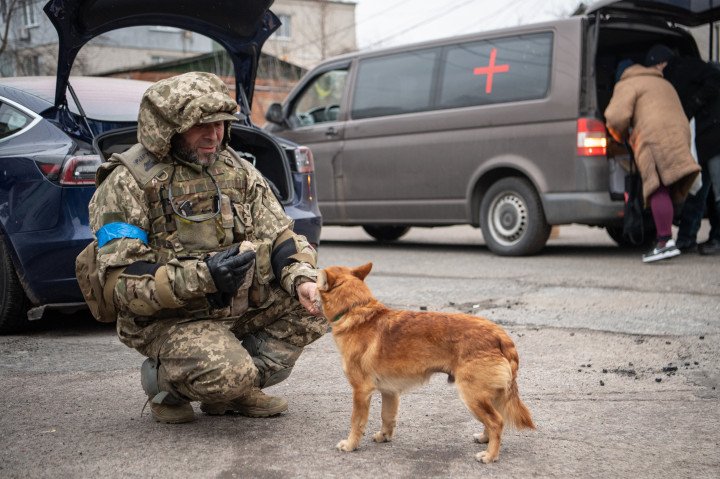 Ukrainian army soldier feeds a dog with some of the humanitarian aid dog food delivered in Vorzel, a town liberated from Russian occupation. (Photo by Laurel Chor, Getty) Ukrainian army soldier feeds a dog with some of the humanitarian aid dog food delivered in Vorzel, a town liberated from Russian occupation. (Photo by Laurel Chor, Getty)