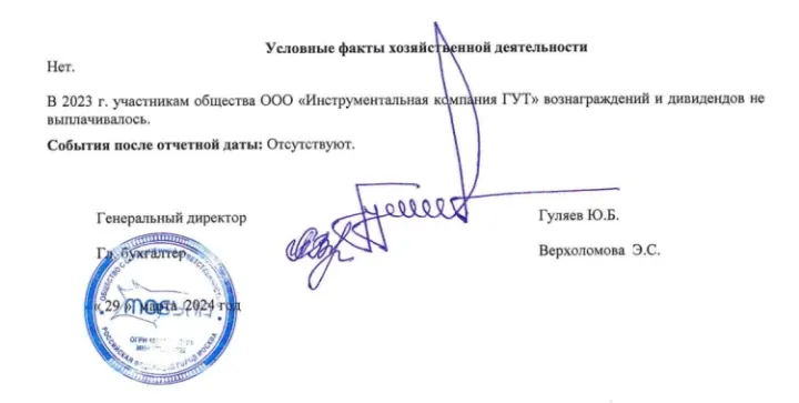 Financial document linked to the former Gühring Russian subsidiary reviewed during The Insider's investigation. (Source: The Insider)
