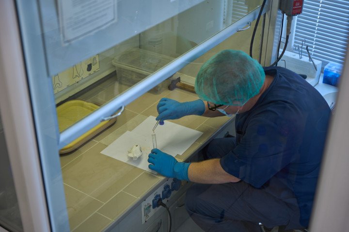 When examining samples—including those from repatriated bodies—experts analyze numerous specimens from each fragment. Photo: Mykyta Shandyba/ UNITED24 Media