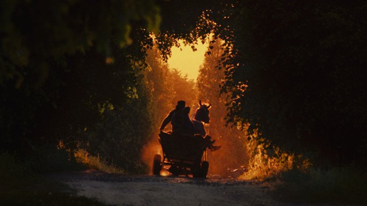 A silhouetted horse-drawn cart passes through a glowing golden tunnel of trees at dusk—one of the film’s most iconic shots capturing visual serenity and timelessness. A silhouetted horse-drawn cart passes through a glowing golden tunnel of trees at dusk—one of the film’s most iconic shots capturing visual serenity and timelessness.