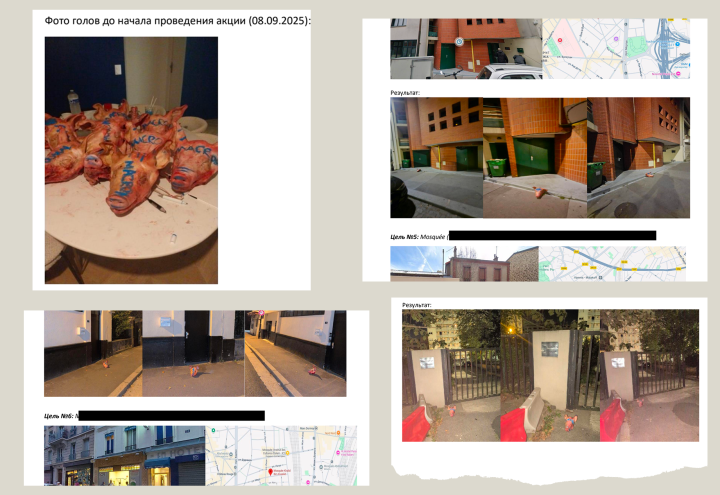 Photos from leaked “Operation Pig’s Head” documents show severed pig heads prepared before being placed outside mosques near Paris in September 2025. (Source: OCCRP)